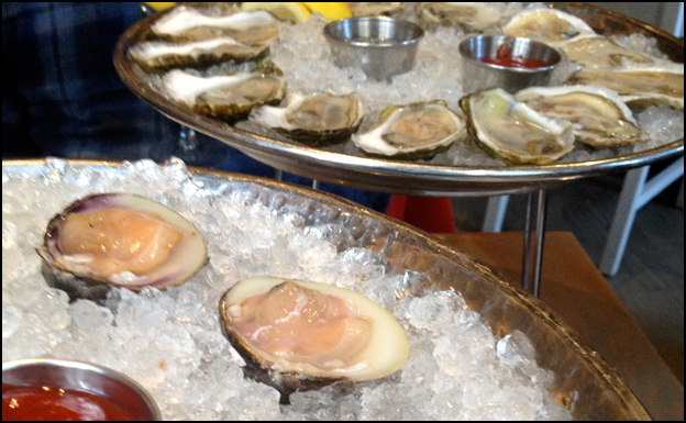 Oysters